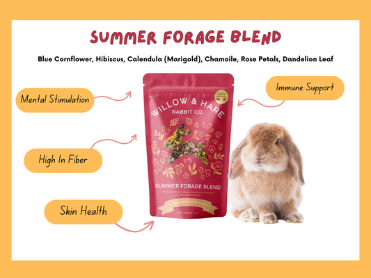 Summer Forage Blend