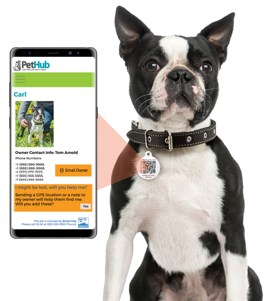 QR ID Pet Tag - Lost AF