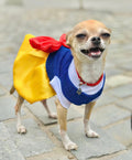 Snow White Pets Costume