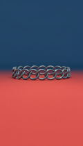 Polished Metal Pet Collar