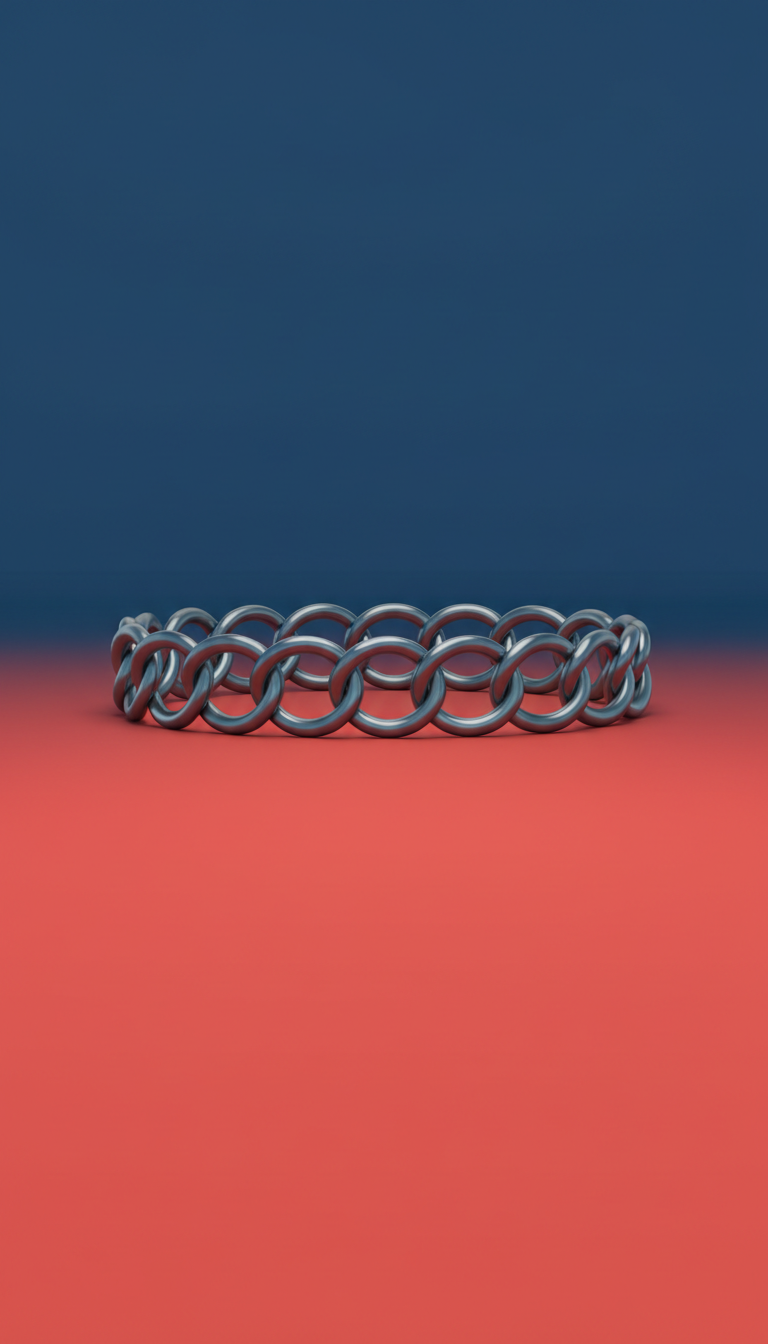 Polished Metal Pet Collar