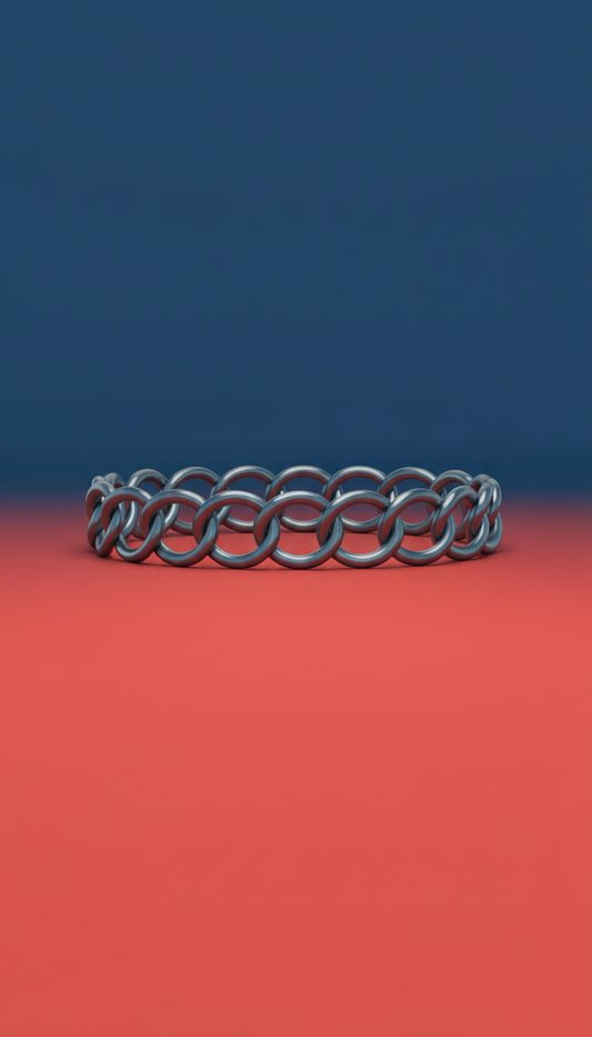 Polished Metal Pet Collar