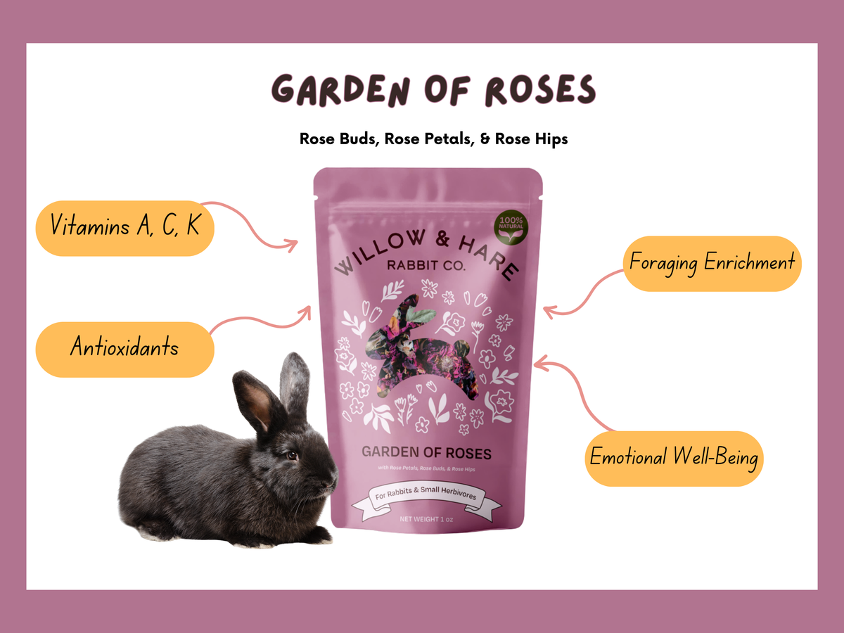 4-Pack Bunny Forage Mix Treat Collection Variety Pack