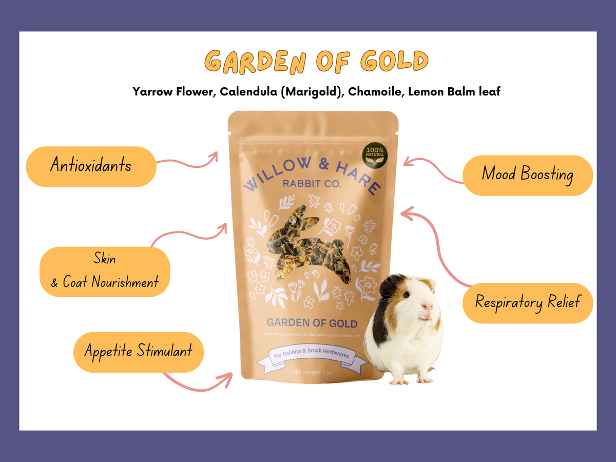 4-Pack Bunny Forage Mix Treat Collection Variety Pack