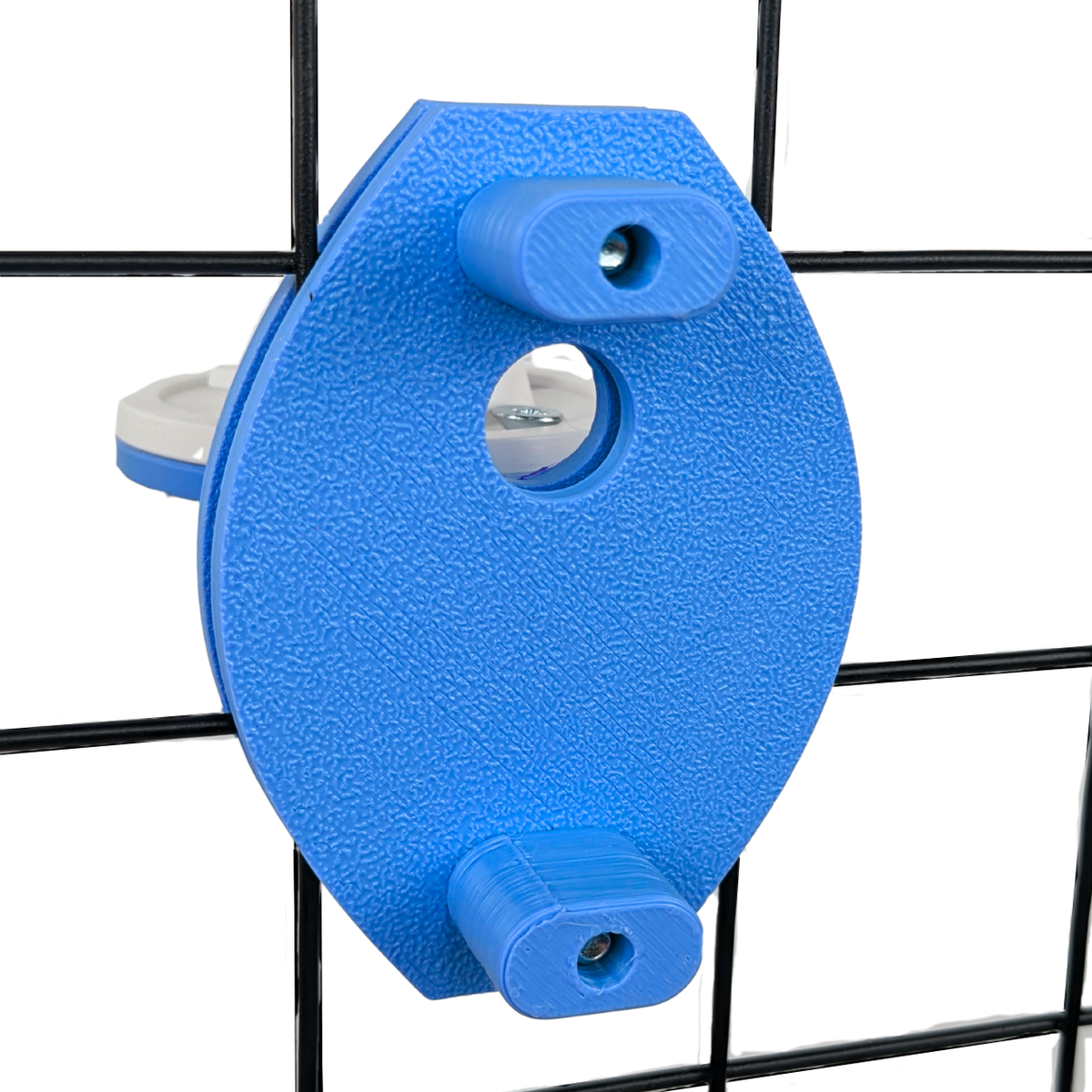 Tapo Camera Cage Mount for Guinea Pigs & Small Pets – Sky Blue | Made in Britain