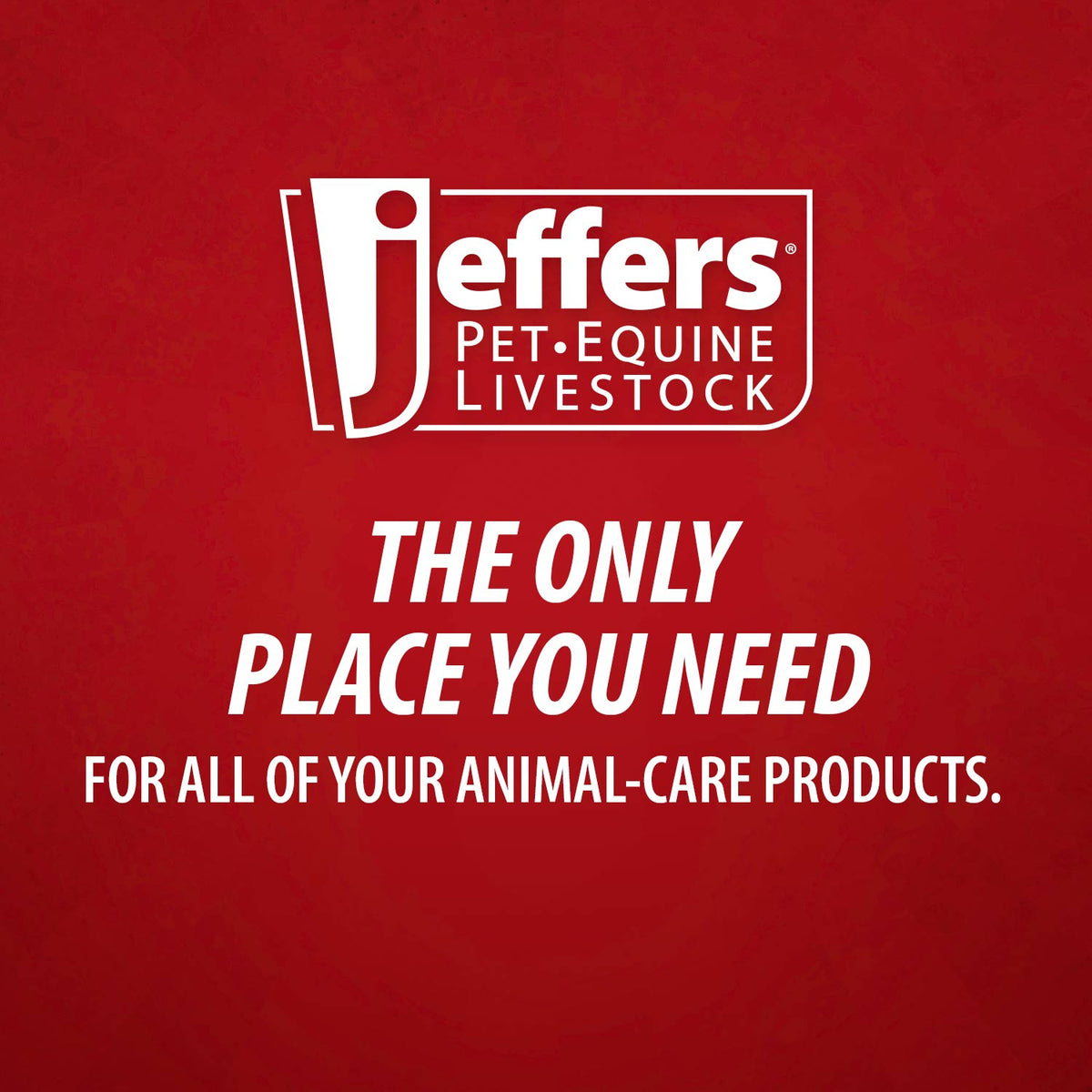 Jeffers X-O Pet Odor Neutralizer Plus + Cleaner Concentrate